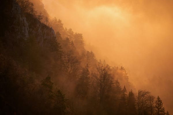Rock, Water, and Wire